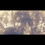 Profile Picture of kenneth_pinoy_wv (@kenneth_pinoy_wv) on Instagram