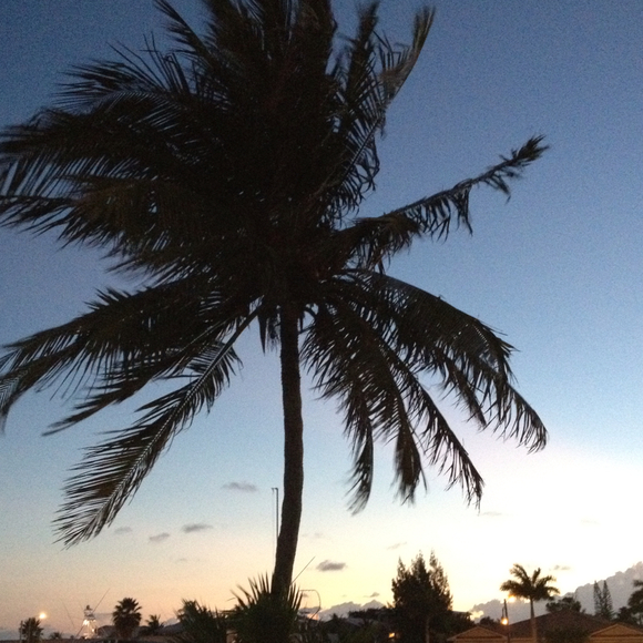 Claudine Eschenwald - Poshmark Profile Picture of Claudine Eschenwald (@cesch) on Poshmark