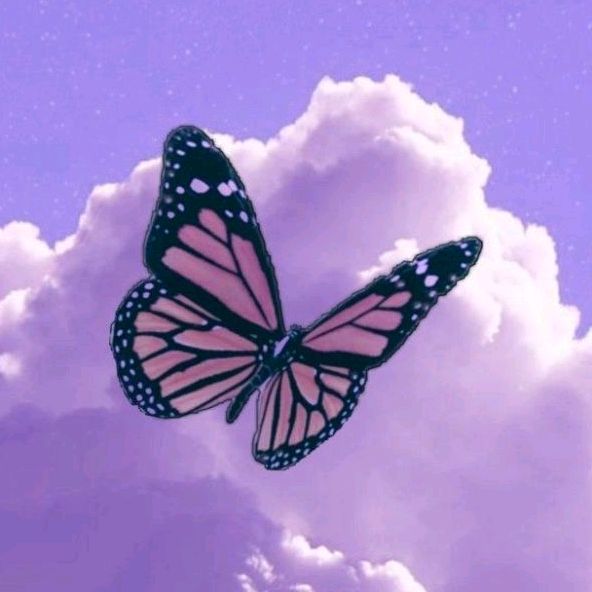 Profile Picture of Andy Maya (@@andymaya97) on Tiktok