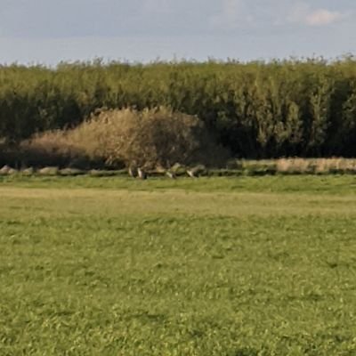 Profile Picture of Frank Simonsen (@frank1simonsen) on Twitter