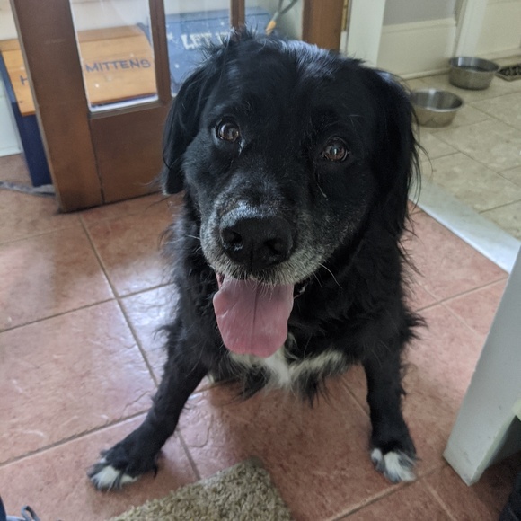 Profile Picture of Heather Havens (@heatherh10504) on Poshmark