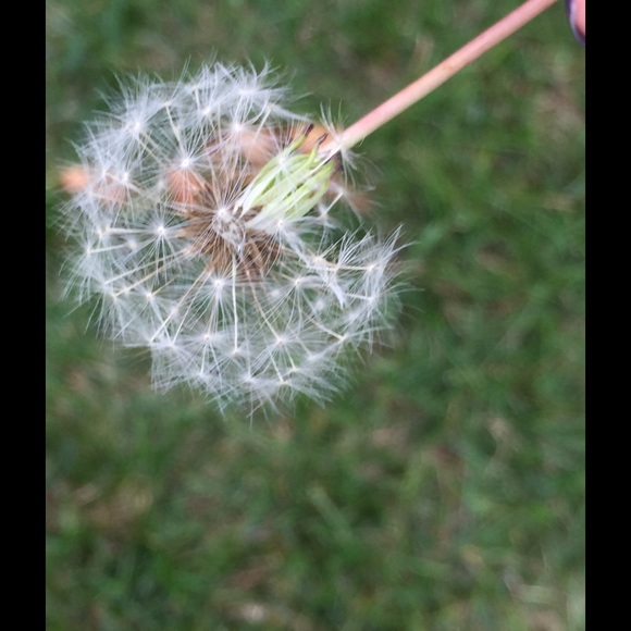 Profile Picture of Hailey Mohr (@0822hailey) on Poshmark