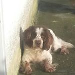 Profile Picture of david stevenson (@davidstevenson2004) on Instagram
