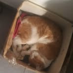 Profile Picture of Florencia Cordon (@Florencia-Cordon) on Facebook