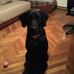 Profile Picture of Aleksandar Slavov (@aleksandar.slavov.334) on Facebook