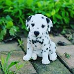 Profile Picture of Johnson Mark (@johnson_mark_60) on Instagram