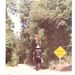 Profile Picture of Bruce Stricker (@bdstricker) on Pinterest