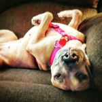 Profile Picture of Anja Moore (@anjalovesbooksmoore) on Instagram