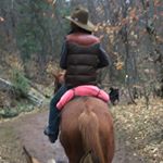 Profile Picture of Richard Harleman (@over_on_the_wild_side) on Instagram