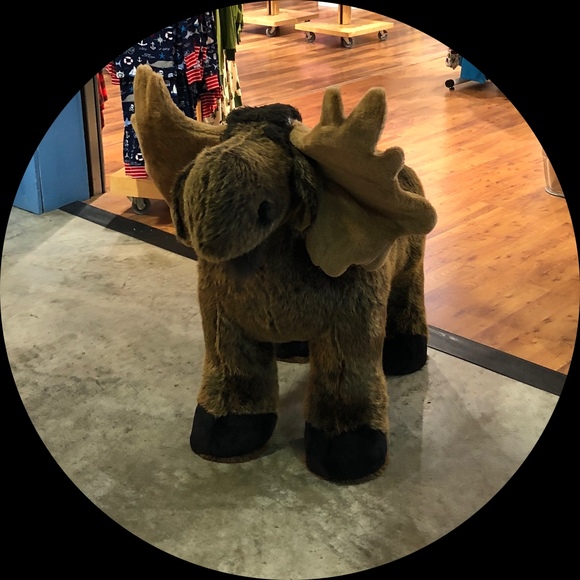 Profile Picture of Suzanne Manuello (@jdthecat2567) on Poshmark