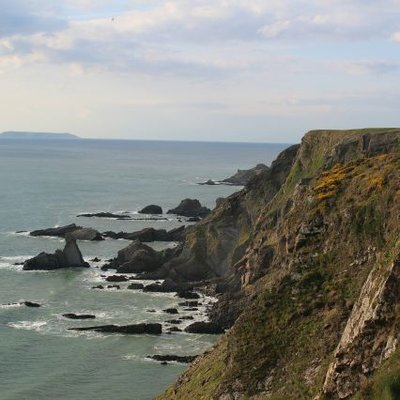 Profile Picture of Janet Whittaker (@JanetWhittake19) on Twitter