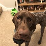 Profile Picture of Logan Baldwin (@logan_baldwin11) on Instagram