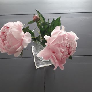 Profile Picture of Marie Catherine Bartolini (@mariecatherine.bartolini.7) on Facebook