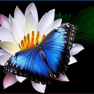 Profile Picture of Jacque Lopez (@jacque.lopez.5) on Facebook