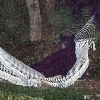 Profile Picture of Elliot Richards (@Elliot-Richards) on Facebook