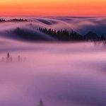 Profile Picture of Stella Hayes 661 (@nannettezagrodneybq5j1s) on Instagram