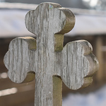 Profile Picture of markfchapman (@markfchapman) on Flickr