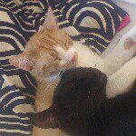 Profile Picture of polly & schmidti (@polly_schmidtskowsky) on Instagram