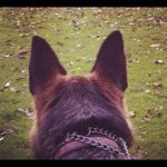 rijneveld - Instagram Profile Picture of rijneveld (@rijneveld) on Instagram