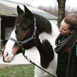 Profile Picture of Alice Roy (@aliceetsesmerveilles) on Instagram
