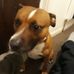 Profile Picture of Paula Sheppard (@paula.sheppard.370) on Facebook