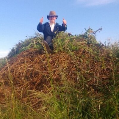 Profile Picture of Stephen Williams (@StephenWillms) on Twitter