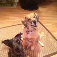 Profile Picture of Pam Knox (@pam-knox-5) on Quora