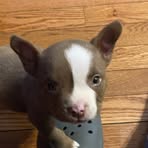 Profile Picture of Christopher Olavarria (@Christopher-Olavarria) on Facebook