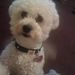 Profile Picture of L wheaton (@lakisha37) on Pinterest