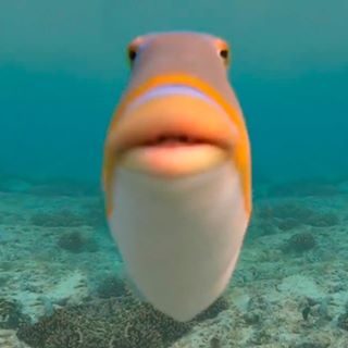 Profile Picture of Kyle Pilkey (@kyle.pilkey.54) on Facebook