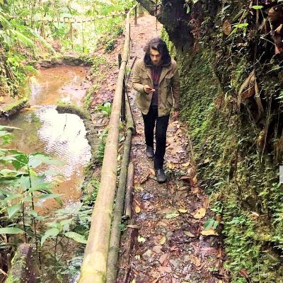 Profile Picture of Guillermo David Rizzo 🇦🇷 🇪🇨 (@DrMemoCortex) on Twitter