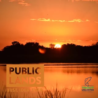 Profile Picture of Stephen Greene (@stephengreene) on Instagram