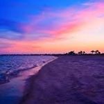 Profile Picture of Bree Carter (@bree_carter__) on Instagram