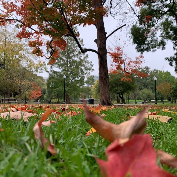 Profile Picture of Edilson Almeida (@almeida_edilson) on Poshmark