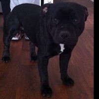 Profile Picture of Scott Plunkett (@scott-plunkett-2) on Quora