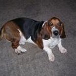 Profile Picture of Merlin Carter (@squirrelymerlin) on Myspace
