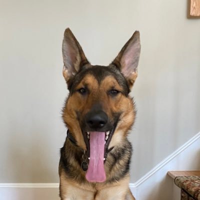 Matthew Arnone - Twitter Profile Picture of Matthew Arnone (@matthew__arnone) on Twitter