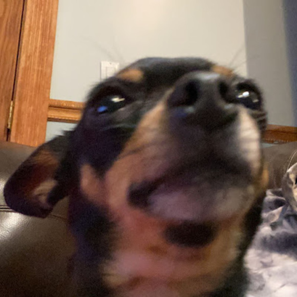 Anubis Sphinx - Poshmark Profile Picture of Anubis Sphinx (@25weslyg00) on Poshmark