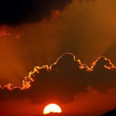 Profile Picture of Steve Stillman (@WinerSteve) on Twitter