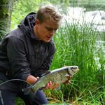 Profile Picture of Alexander Larson (@alexanderlarson) on Instagram