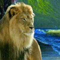 Profile Picture of Joe Lutz (@joe-lutz-8) on Quora