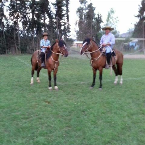 Profile Picture of Bryan Pino (@bryanpino6) on Tiktok