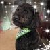 Profile Picture of Randy Schill (@randy.schill.7) on Facebook