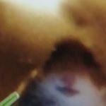 Profile Picture of me gusta la amanda calderon (@forrnitest3c2) on Instagram