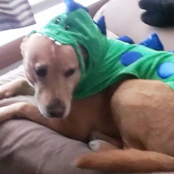 Profile Picture of Amy Elsasser (@amyelsasser) on Poshmark