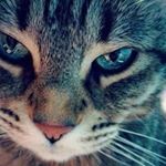 Profile Picture of Casey Custer (@custercasey) on Instagram