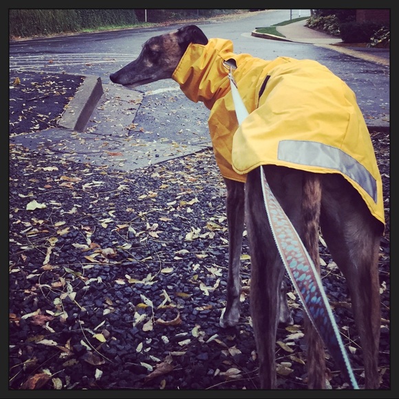 Profile Picture of Michael Dickerson (@mccrakn5) on Poshmark