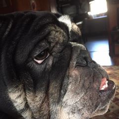 Profile Picture of Scott Deland (@scottdeland) on Tiktok