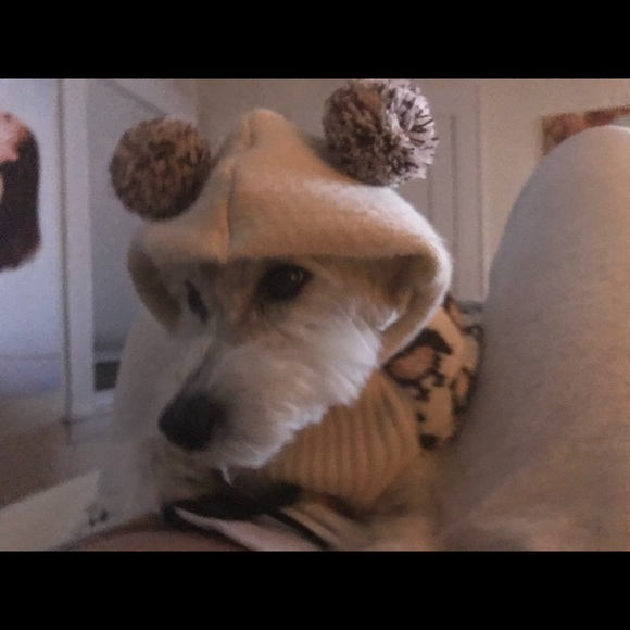 Vikki Cooper - Poshmark Profile Picture of Vikki Cooper (@vikki_cooper) on Poshmark