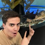 Profile Picture of Josh Steinhart (@josh.steinhart.507) on Facebook